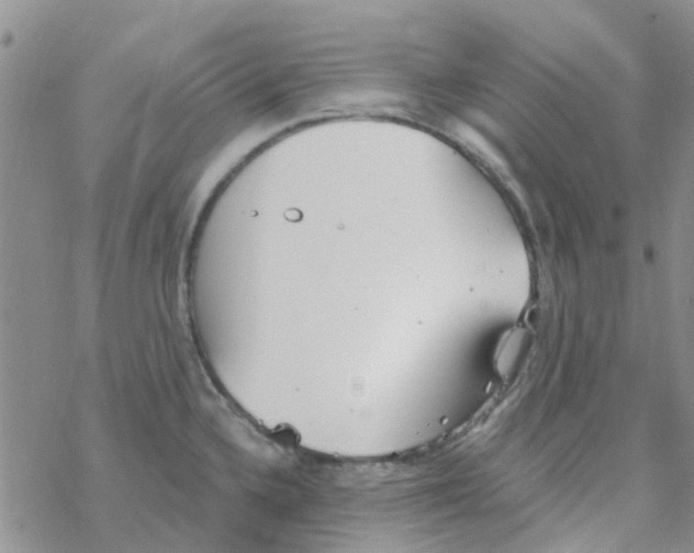 X0000068731336200605262016