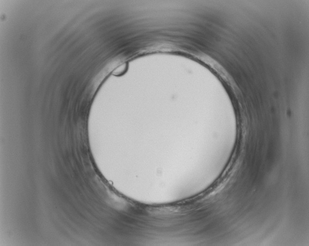 X0000068731337200605262016