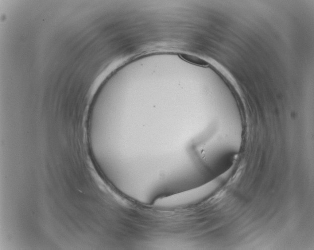 X0000068731341200605262016