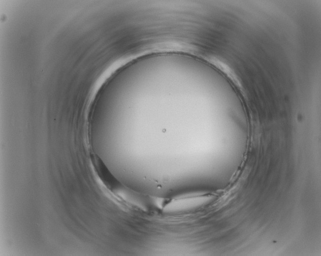 X0000068731342200605262016