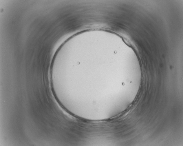 X0000068731343200605262016