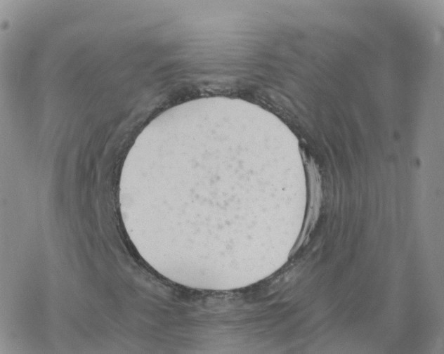 X0000068731345200605262015