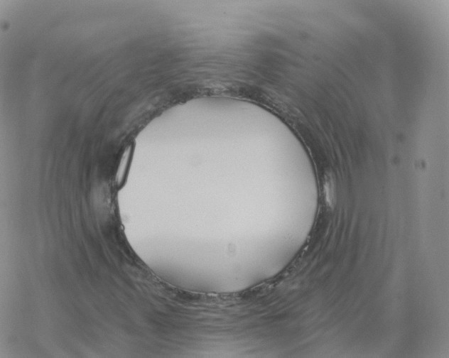 X0000068731347200605262015