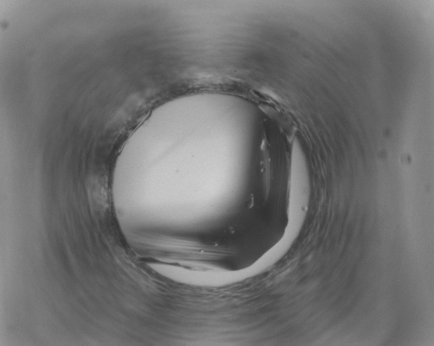 X0000068731348200605262015