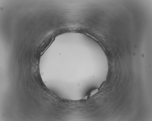 X0000068731349200605262015