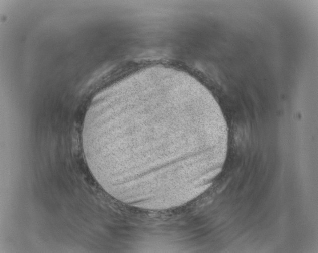 X0000068731350200605262015