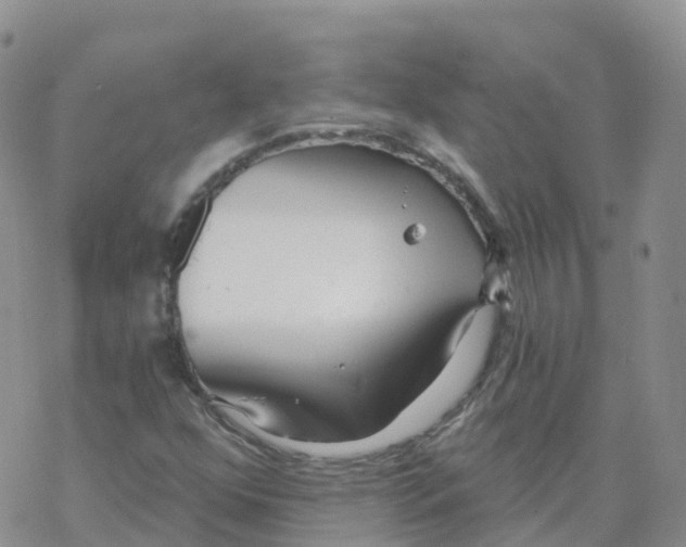 X0000068731352200605262015