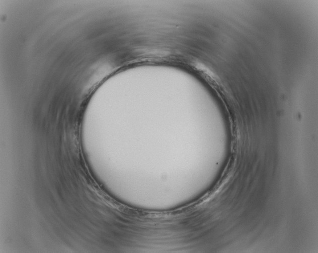 X0000068731354200605262015