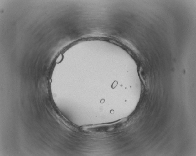 X0000068731356200605262015