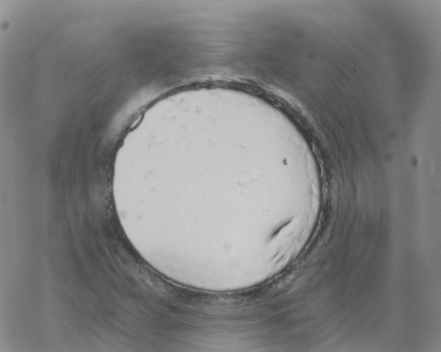 X0000068731359200605262015