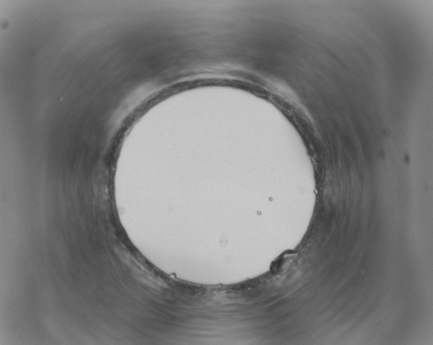 X0000068731360200605262015