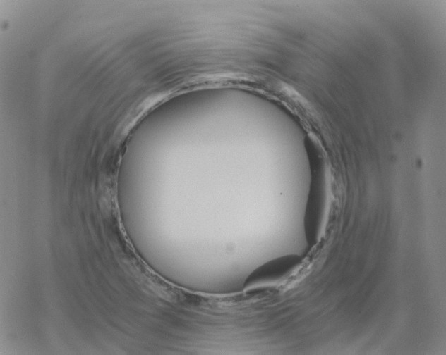 X0000068731361200605262015