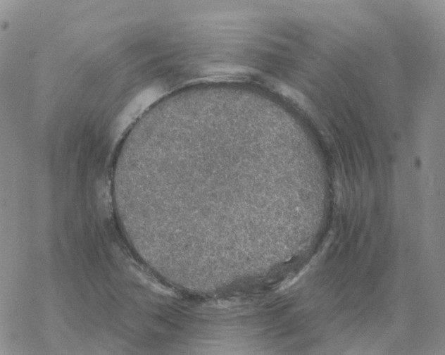 X0000068731362200605262015