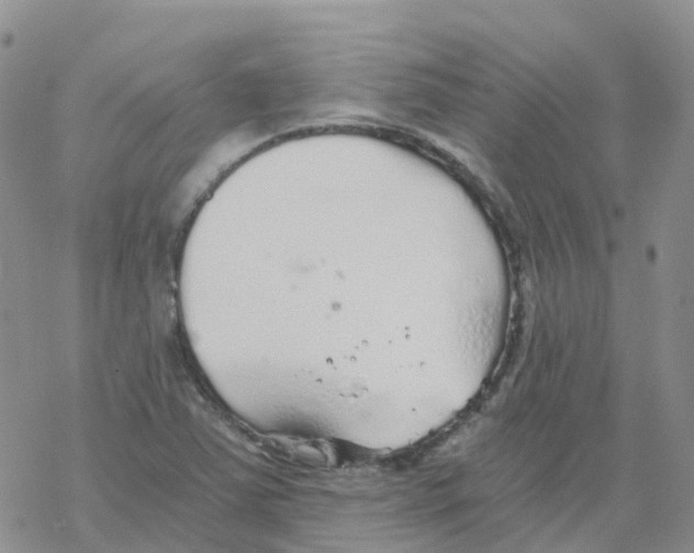 X0000068731363200605262015