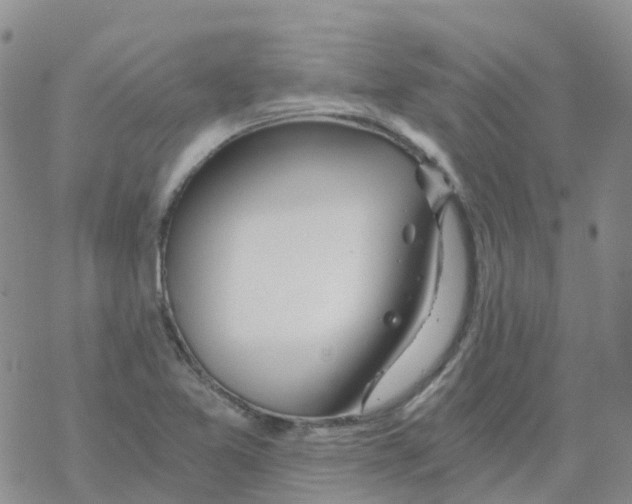 X0000068731365200605262015