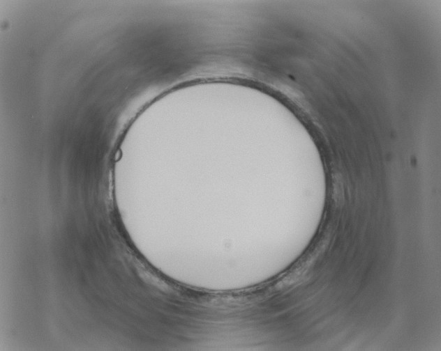 X0000068731366200605262015