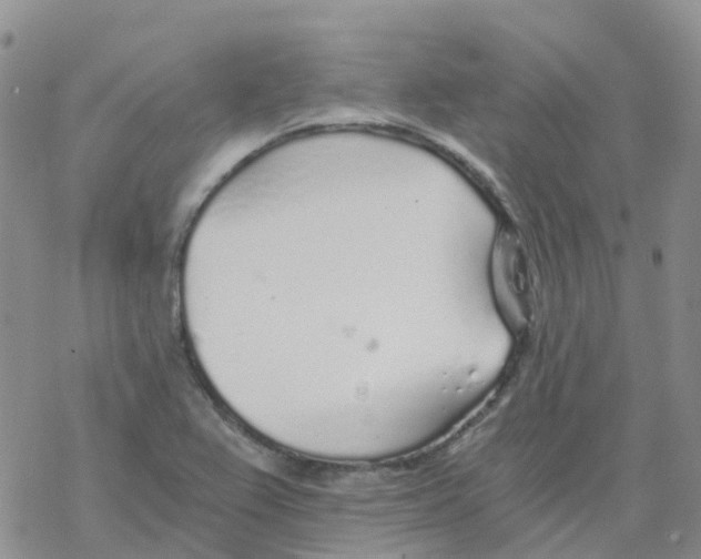 X0000068731367200605262015