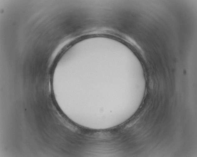 X0000068731368200605262015