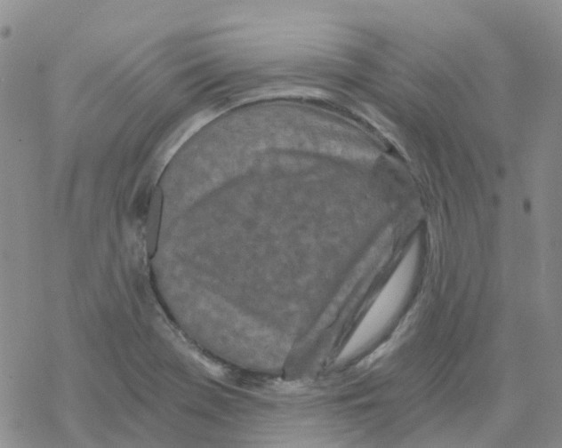 X0000068731369200605262015