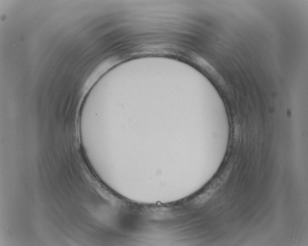 X0000068731370200605262015