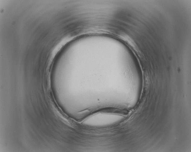 X0000068731371200605262015