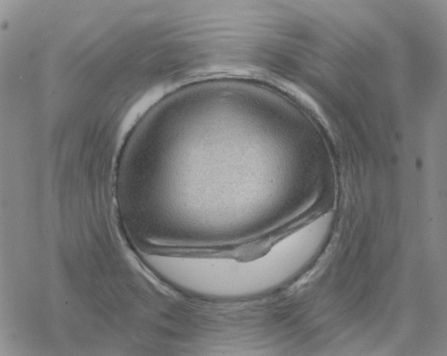 X0000068731373200605262015