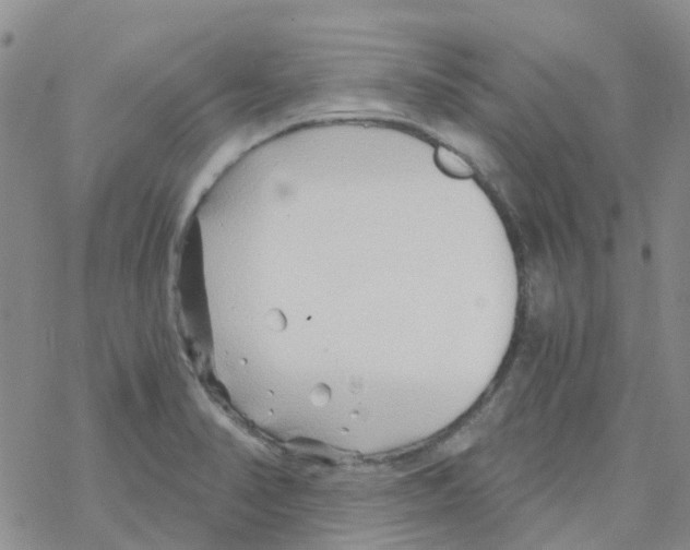 X0000068731374200605262015