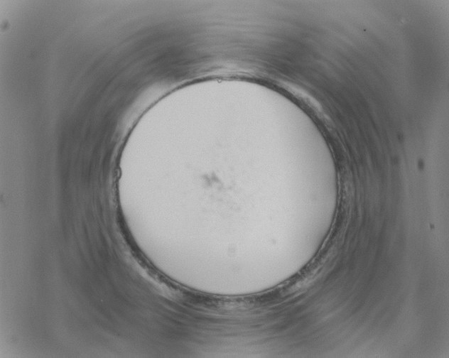 X0000068731375200605262015