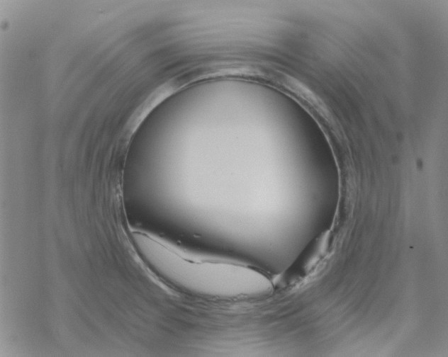 X0000068731377200605262015