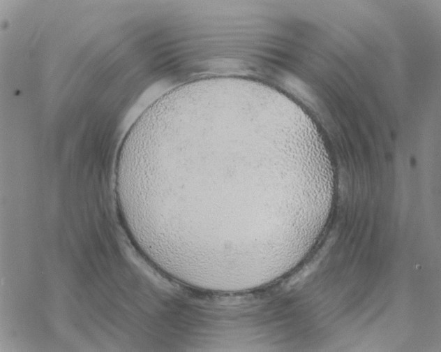 X0000068731378200605262015