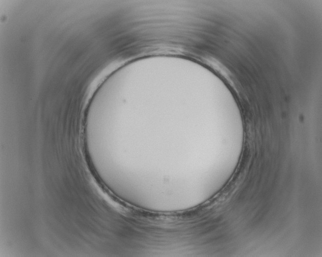 X0000068731379200605262015