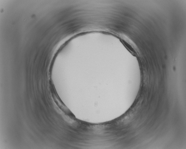 X0000068731380200605262015