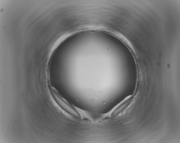 X0000068731381200605262015