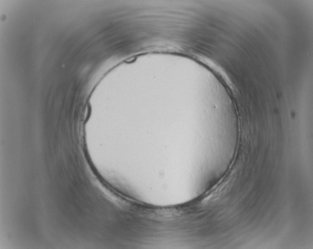 X0000068731383200605262015