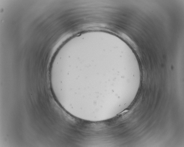 X0000068731384200605262015