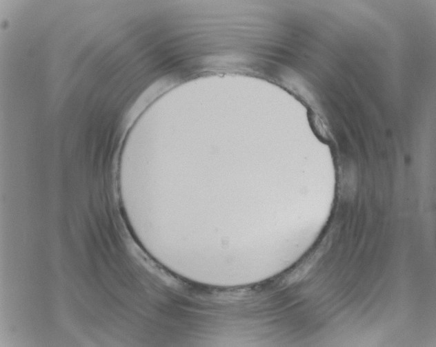 X0000068731386200605262015