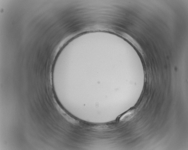 X0000068731388200605262015