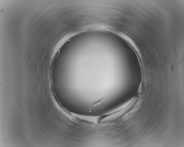 X0000068731389200605262015