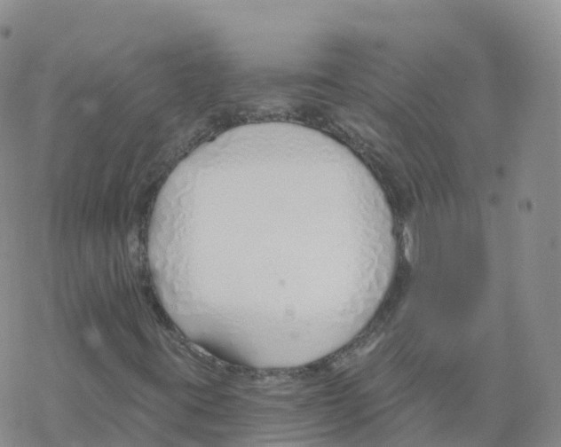 X0000068731395200605262014