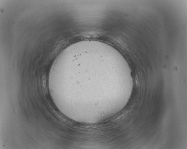 X0000068731396200605262014