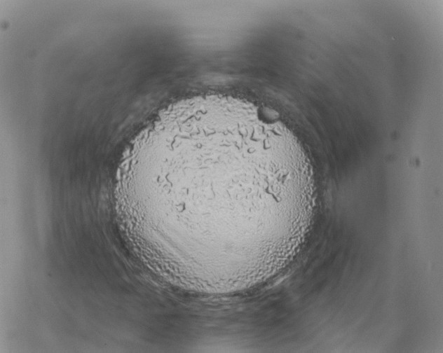 X0000068731397200605262014