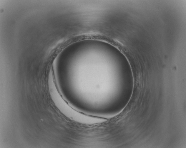 X0000068731398200605262014