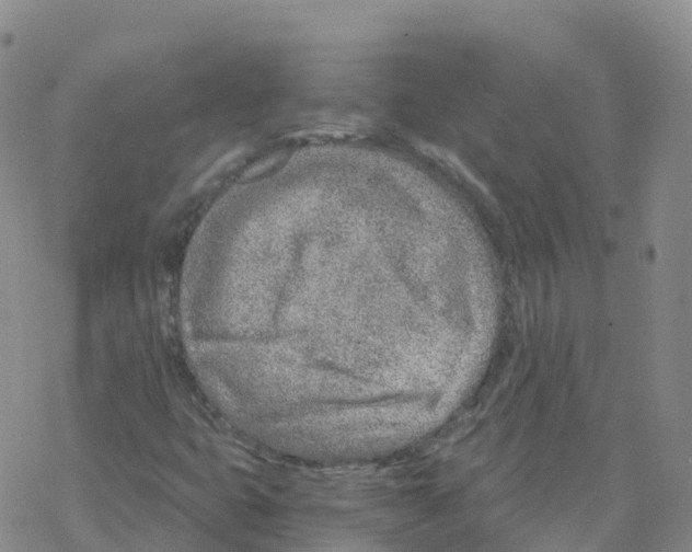 X0000068731399200605262014