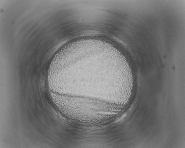 X0000068731401200605262014