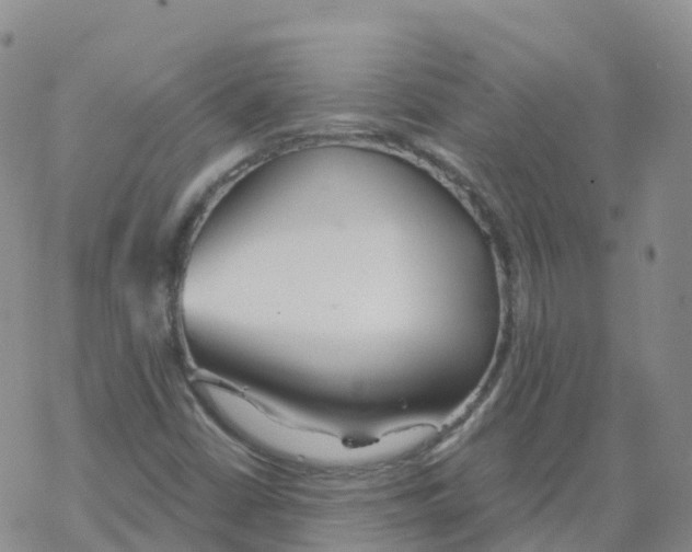 X0000068731402200605262014