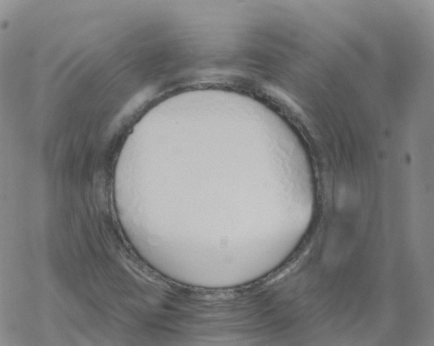 X0000068731403200605262014