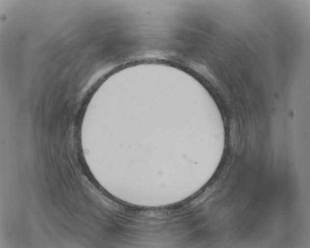 X0000068731404200605262014