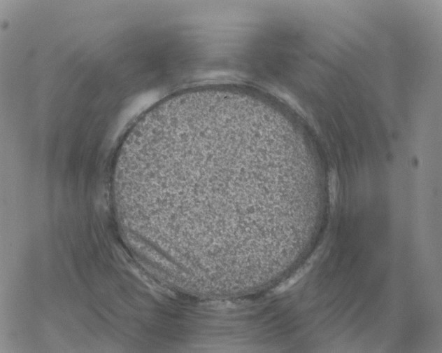 X0000068731405200605262014