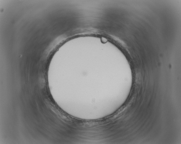 X0000068731407200605262014