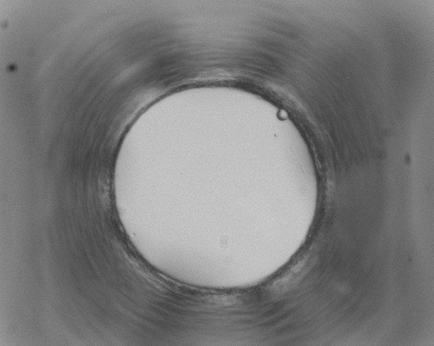 X0000068731409200605262014